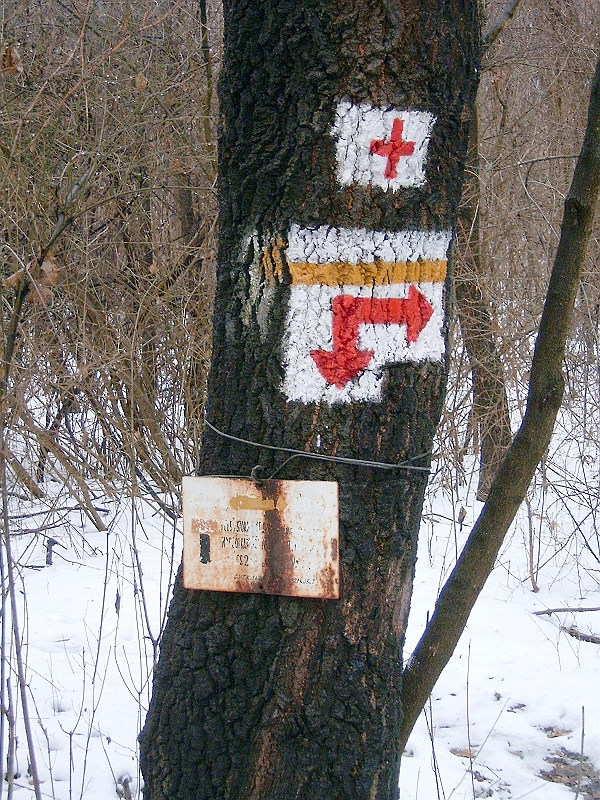 20100220 025.jpg
